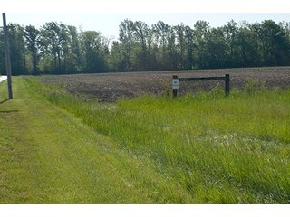 Property photo 27 - LAND AUCTION - 215+/- ACRES OFFERED IN 6 TRACTS IN VAN WERT COUNTY, OHIO